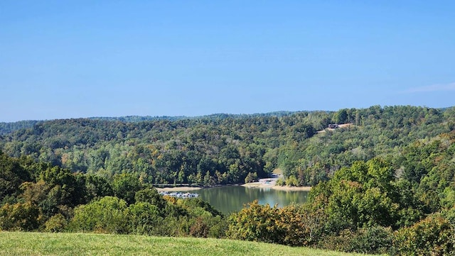 birds eye view of property featuring a water view and a forest view