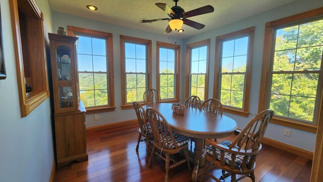 dining room featuring ceiling fan, baseboards, dark wood-type flooring, and recessed lighting