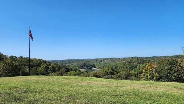 view of nature with a wooded view