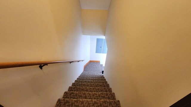 stairway featuring carpet flooring