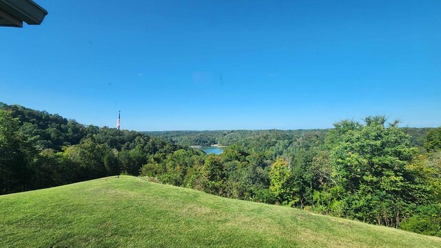 view of yard with a forest view