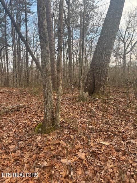 Listing photo 3 for LOT22 Davidson Dr, Monterey TN 38574