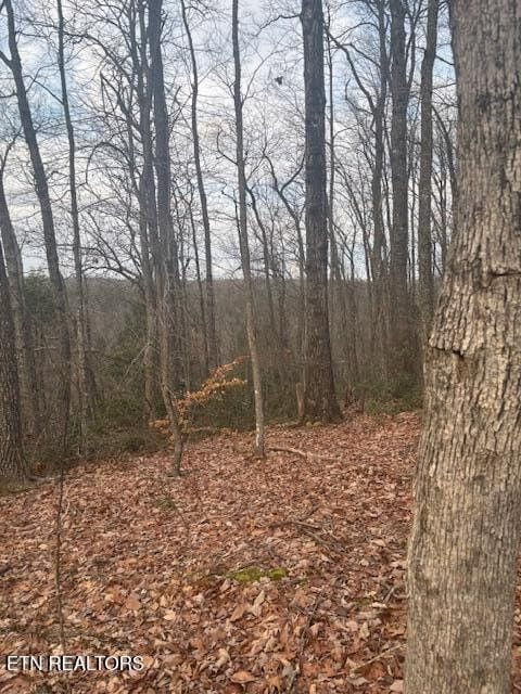 Listing photo 2 for LOT22 Davidson Dr, Monterey TN 38574