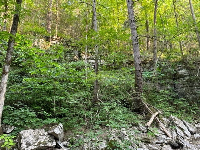 Listing photo 2 for LOT43 E Bobcat Ln, Wilder TN 38589