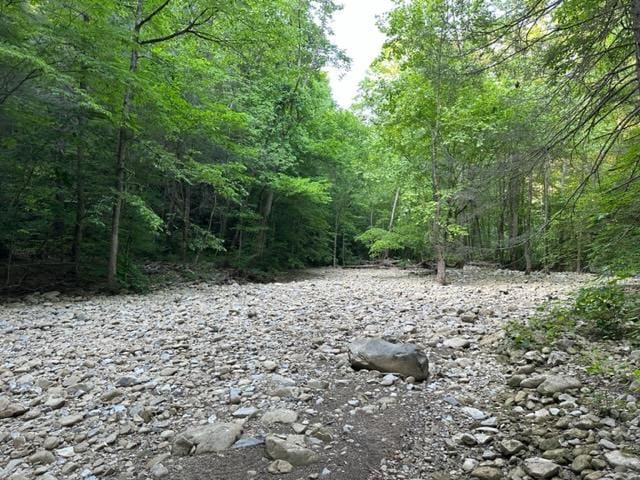 LOT43 E Bobcat Ln, Wilder TN, 38589 land for sale