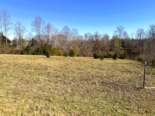 Listing photo 3 for 00 Two Hawks Ln, Hilham TN 38568