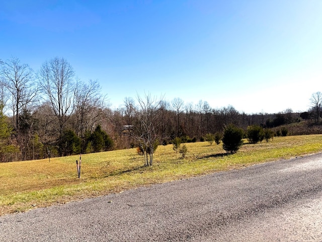 Listing photo 2 for 00 Two Hawks Ln, Hilham TN 38568