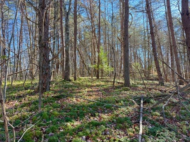 20.78AC B Armstrong Ln, Monterey TN, 38574 land for sale