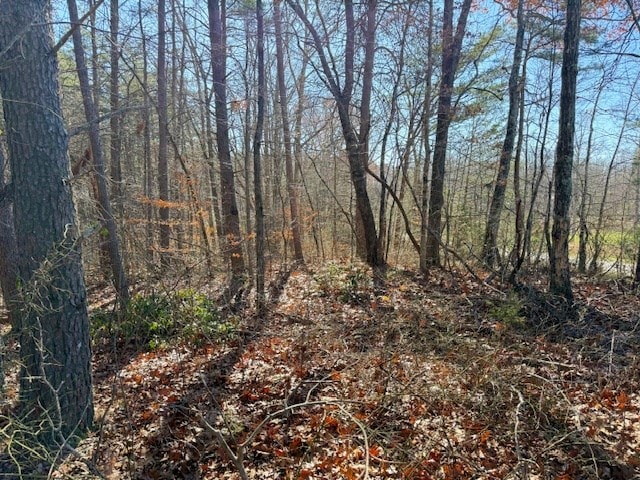 Listing photo 3 for 20.78AC B Armstrong Ln, Monterey TN 38574