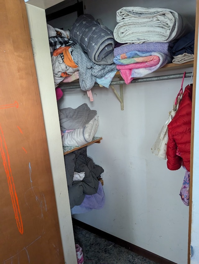 view of closet