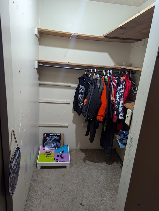 view of spacious closet