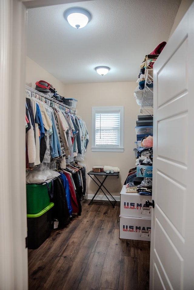 walk in closet with dark wood finished floors