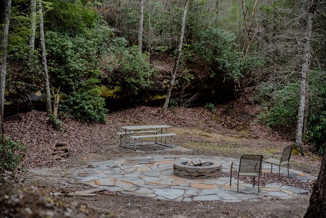 view of yard with a patio area and a fire pit