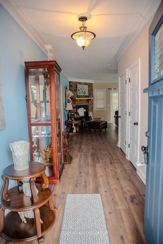 hallway featuring ornamental molding and wood finished floors