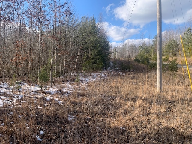 Listing photo 3 for LOT208 Horseshoe Dr, Spencer TN 38585