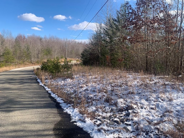 Listing photo 2 for LOT208 Horseshoe Dr, Spencer TN 38585