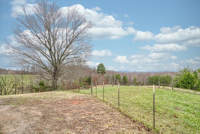 view of yard featuring a rural view