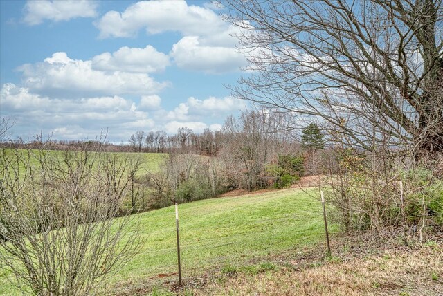 view of yard with a rural view