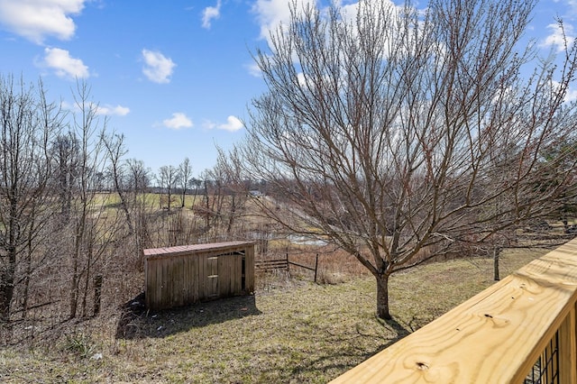 view of yard featuring a storage shed and an outdoor structure