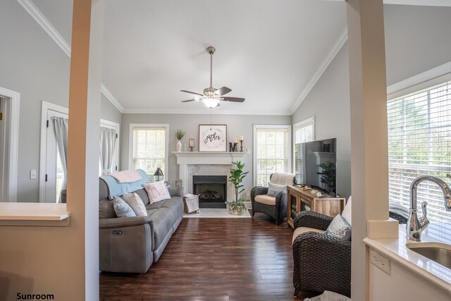 living room featuring crown molding, dark wood finished floors, plenty of natural light, and a premium fireplace