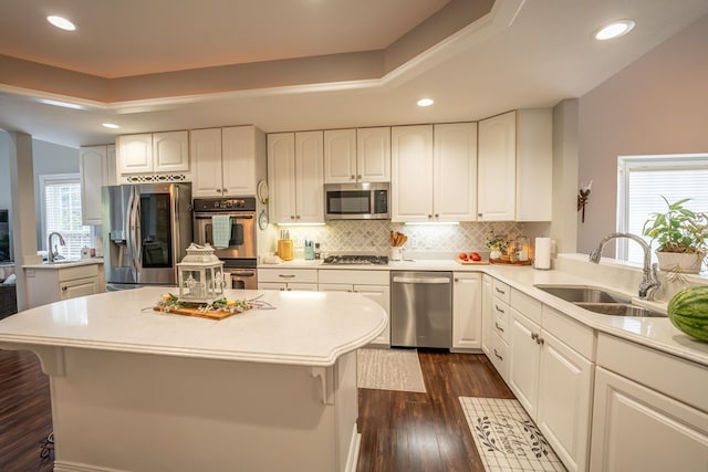 kitchen featuring a sink, appliances with stainless steel finishes, a raised ceiling, and dark wood finished floors