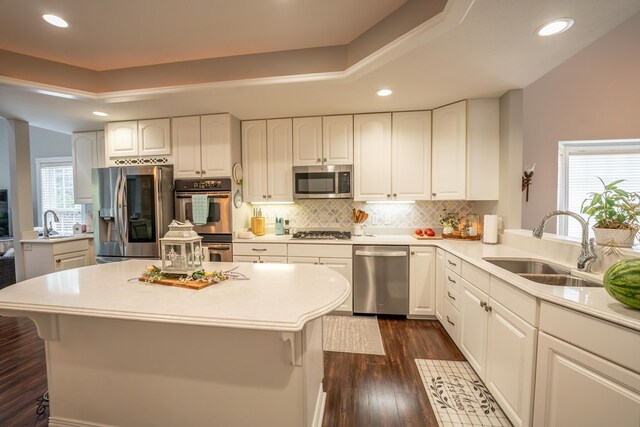 kitchen featuring a sink, appliances with stainless steel finishes, a raised ceiling, and dark wood finished floors