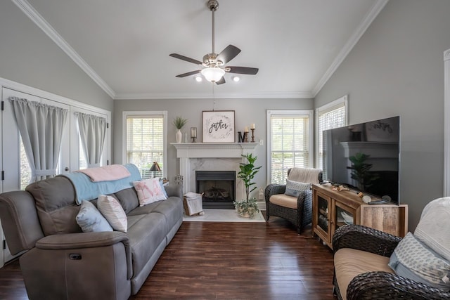 living area with lofted ceiling, plenty of natural light, and dark wood-style flooring