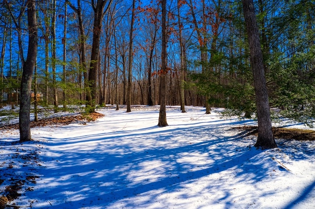 snowy yard featuring a forest view