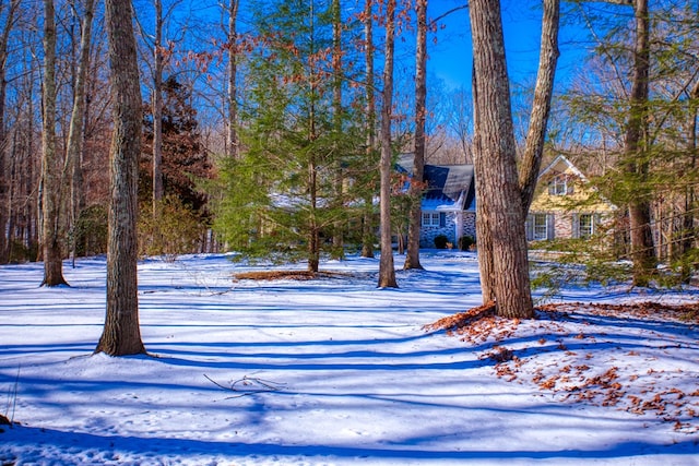 view of yard layered in snow