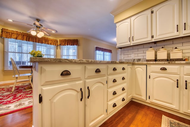 kitchen featuring ceiling fan, stone countertops, ornamental molding, decorative backsplash, and dark wood-style floors