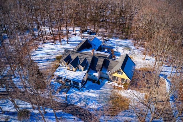 view of snowy aerial view