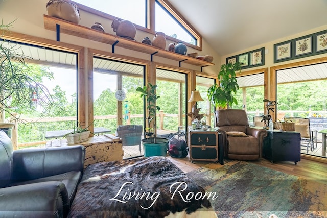 sunroom / solarium with lofted ceiling