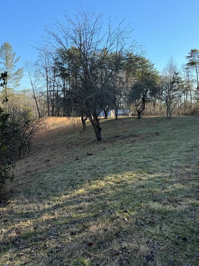 view of yard featuring a rural view