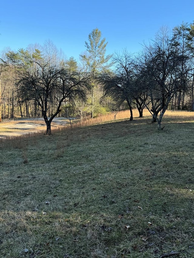 view of yard with a rural view