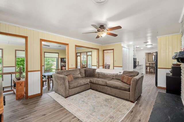 living area featuring ornamental molding, ceiling fan, and light wood finished floors