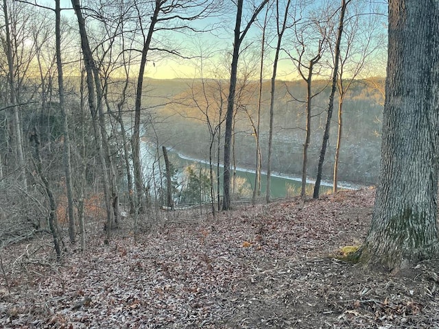 Listing photo 3 for 2.28AC Pates Ford Rd, Walling TN 38587