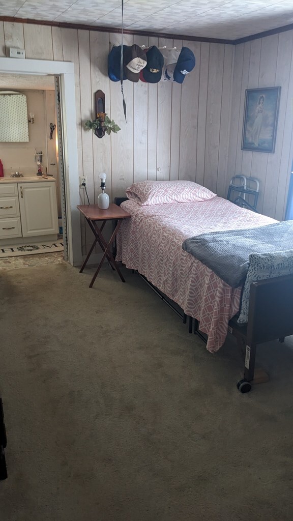 bedroom with ensuite bath, wood walls, and carpet flooring