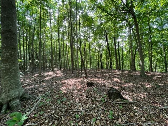 10.97AC H R Huffer Ln, Allons TN, 38541 land for sale