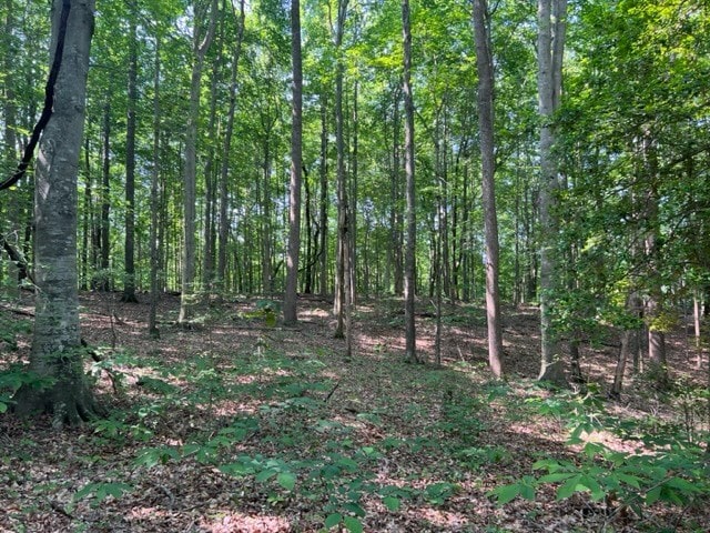 Listing photo 2 for 10.97AC H R Huffer Ln, Allons TN 38541