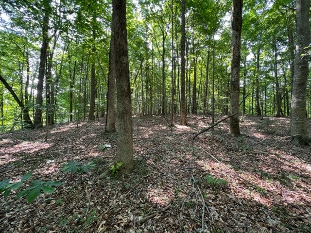 Listing photo 3 for 10.97AC H R Huffer Ln, Allons TN 38541