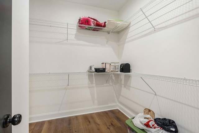 walk in closet featuring wood finished floors