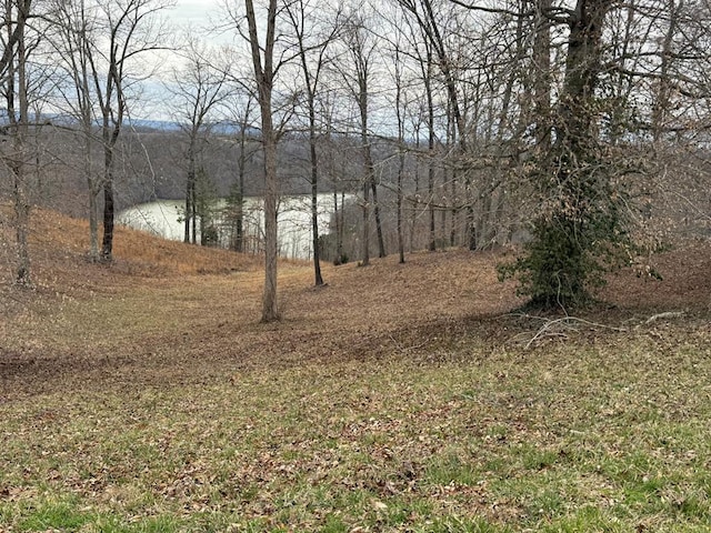 LOT7 Amonett Cir, Byrdstown TN, 38549 land for sale