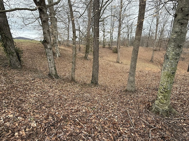 Listing photo 3 for LOT7 Amonett Cir, Byrdstown TN 38549