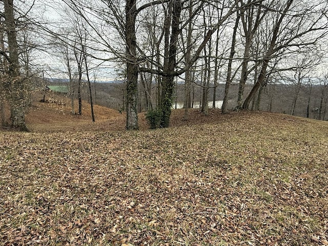 Listing photo 2 for LOT7 Amonett Cir, Byrdstown TN 38549