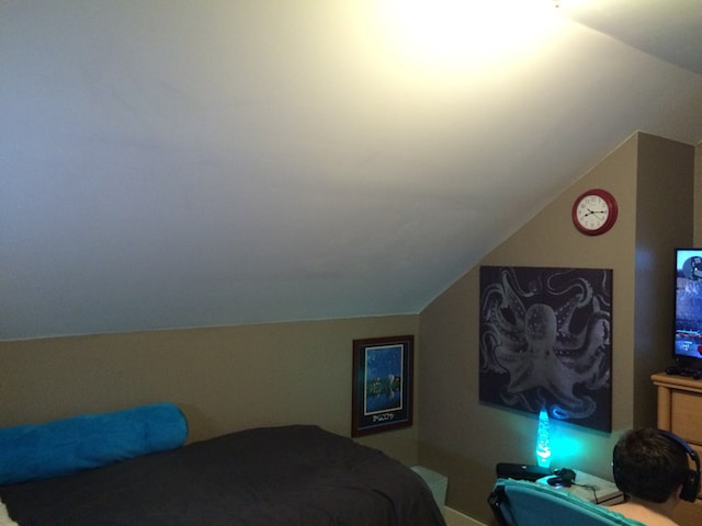 bedroom featuring lofted ceiling