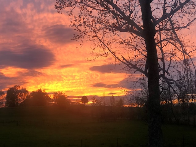 view of nature at dusk