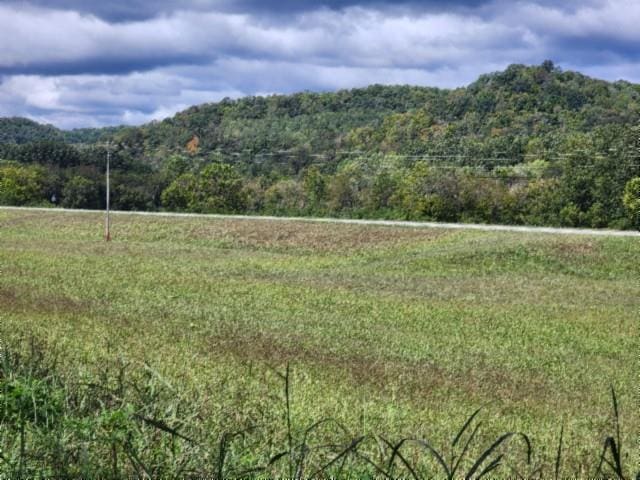 53 N Grundy Quarles Hwy, Gainesboro TN, 38562 land for sale