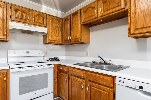 kitchen with under cabinet range hood, white appliances, a sink, light countertops, and brown cabinetry