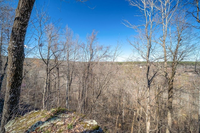 view of landscape