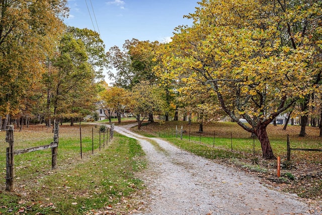 view of road with driveway and a rural view